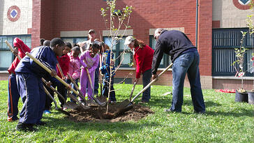 Students at Ronald Brown Academy plant a tree during the 2012 Green Apple Day of Service.