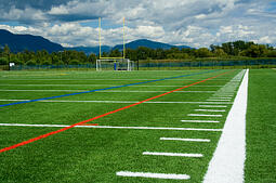 iStock 000003990428XSmall football field