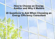 20Q Energy Auditor cover.jpg