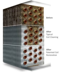 Biomik Coil Restoration crop