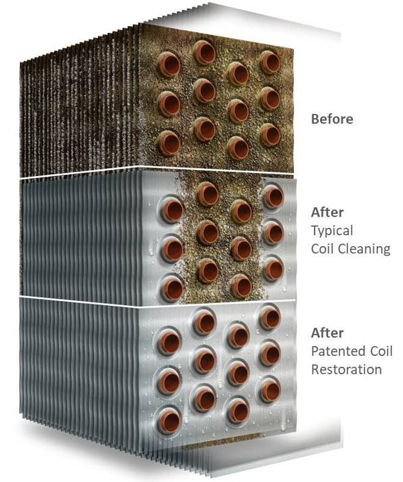 Bio Coil Coronavirus and Building Wellness – What You Need to Do NOW